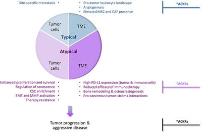 Beyond Cell Motility: The Expanding Roles of Chemokines and Their Receptors in Malignancy